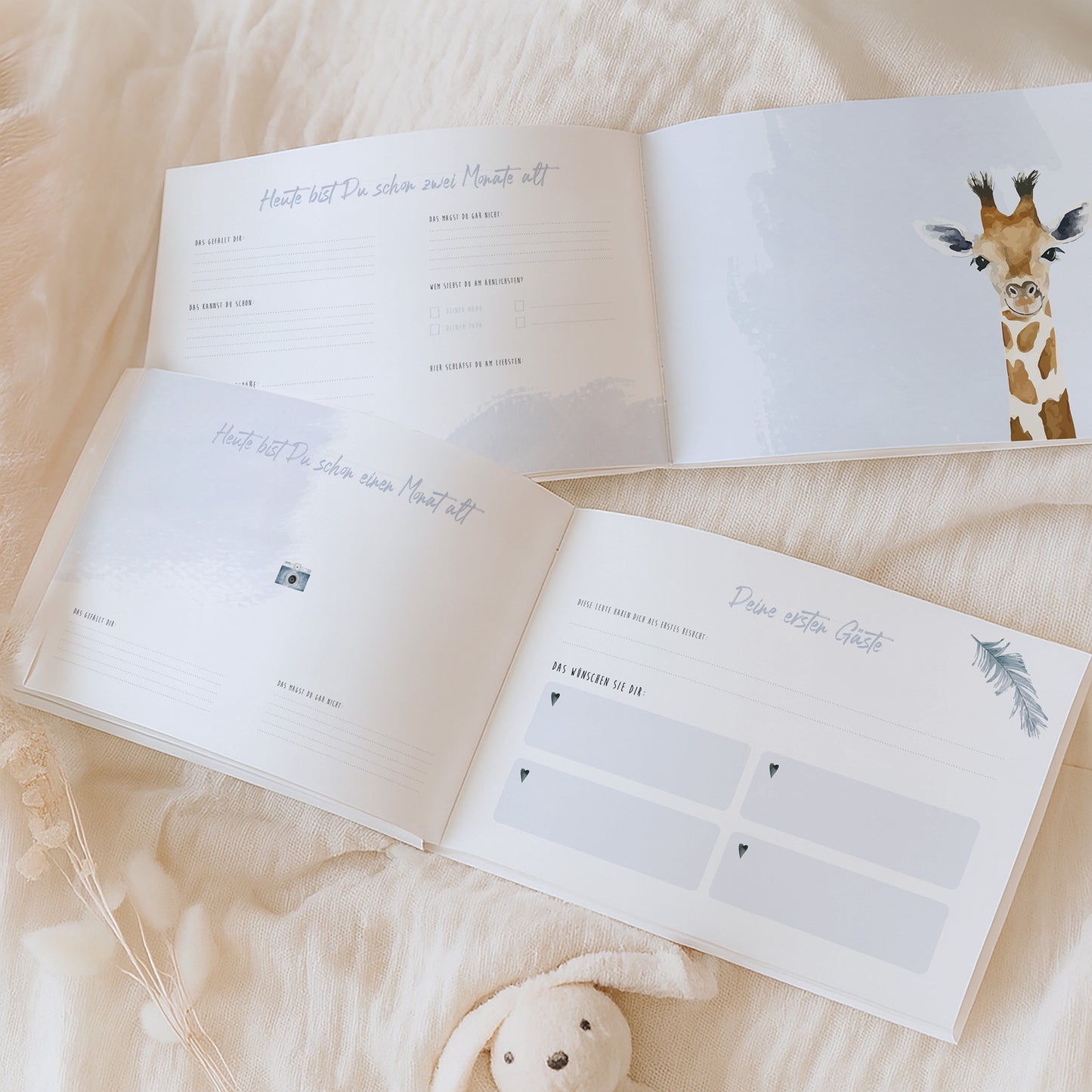 Babyalbum „Klein, wild & wunderbar“ – Löwe | Erstes Jahr